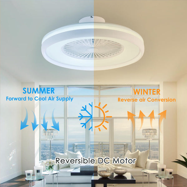 HUMHOLD 24" Low Profile Ceiling Fan with RGB Light